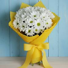 Букет цветов из:  Хризантемы в Красновидово
