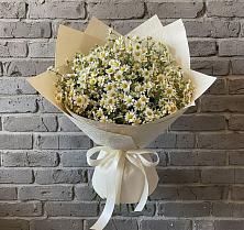 Букет цветов из:  Ромашки в Красновидово