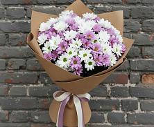 Букет цветов из:  Хризантемы #REPLACE_PRED# Красновидово