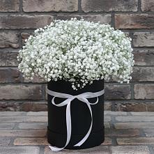 Цветочная композиция из Гипсофила в шляпной коробке в Красновидово